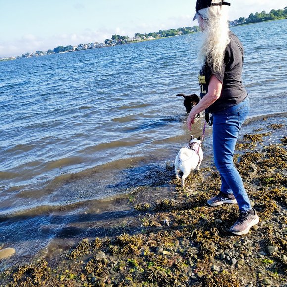 Meet your Posher, Jacqueline - Picture 10 of 12